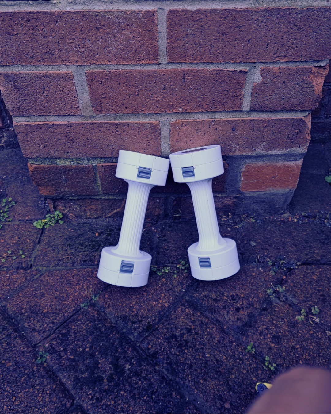 The Tank Adjustable Dumbbells