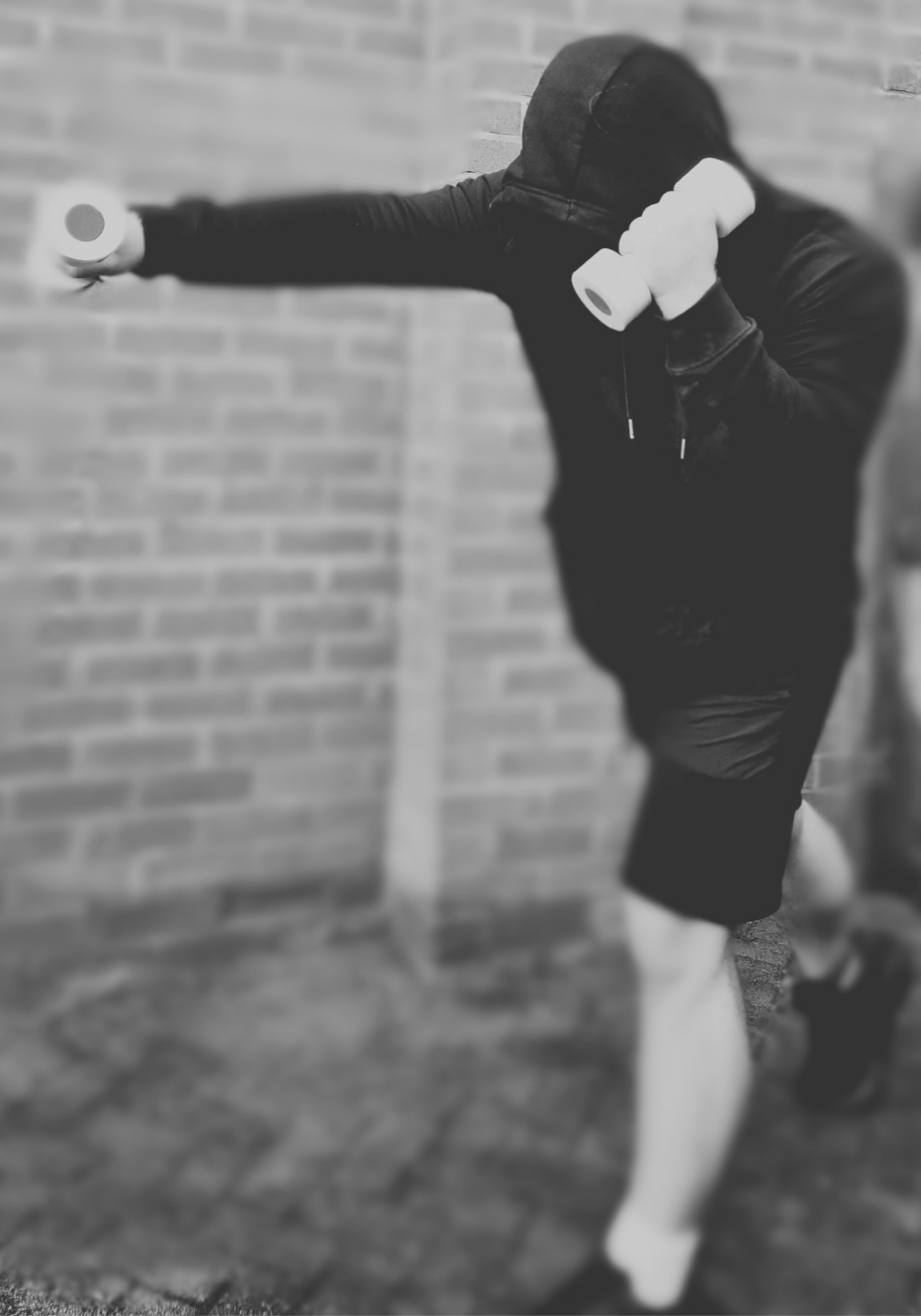 The Tank Adjustable Dumbbells
